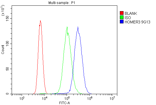  Flow Cytometry analysis of U937 cells using anti-HOMER3 antibody M09145)