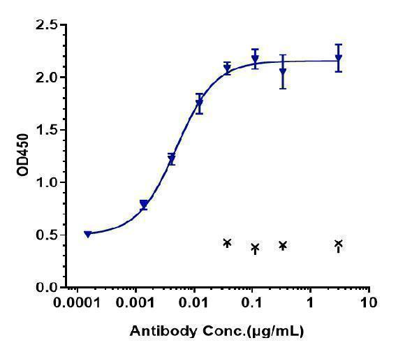 Immobilized human FcRn/FCGRT&B2M Heterodimer protein
