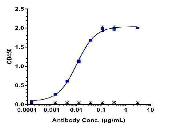Immobilized FcRn(FCGRT) His+FcRn(B2M) at 2 &mug/mL can bind Anti-FcRn (FCGRT & B2M) Reference Antibody (rozanolixizumab)