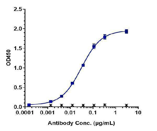 Immobilized FcRn(FCGRT) His+FcRn(B2M) at 2 &mug/mL can bind Anti-FcRn (FCGRT & B2M) Reference Antibody (orilanolimab)