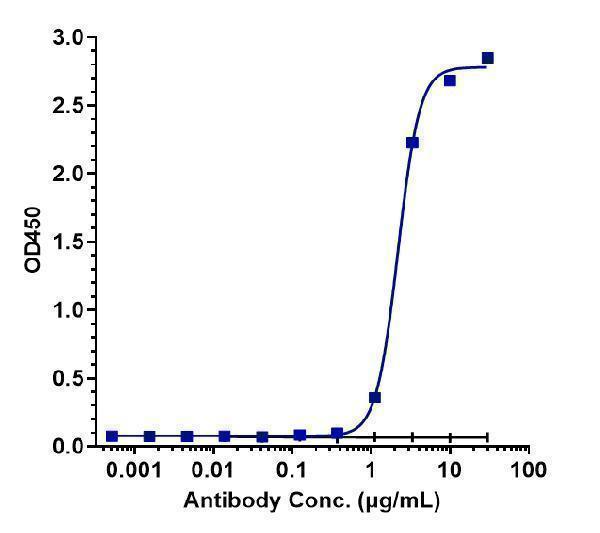 Immobilized human b2M L FCRn at 2 &mug/mL can bind Anti-FcRn (FCGRT & B2M) Reference Antibody (batoclimab)