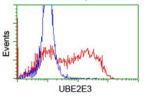 m09303 anti ube2e3 mouse monoclonal antibody clone id oti7e8 flow cytometry testing 14