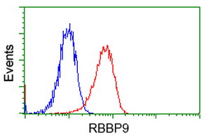 m09378 anti rbbp9 mouse monoclonal antibody clone id oti4g3 flow cytometry testing 5