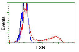 m09395 anti lxn mouse monoclonal antibody clone id oti1e10 flow cytometry testing 12