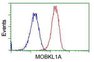 m09405 anti mob4a mob1b mouse monoclonal antibody clone id oti1h2 flow cytometry testing 5