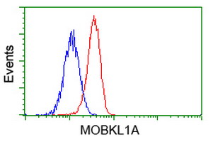 m09405 anti mob4a mob1b mouse monoclonal antibody clone id oti1h2 flow cytometry testing 6