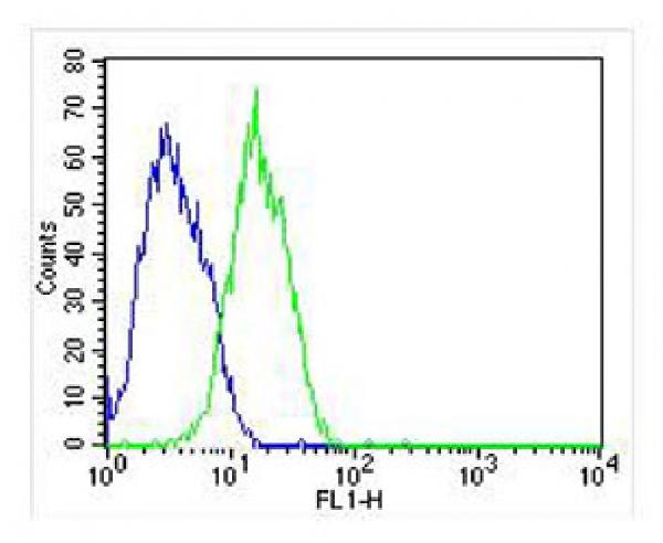 Overlay histogram showing HepG2 cells stained with M09431 (green line). The cells were fixed with 2% paraformaldehyde (10 min) and then permeabilized with 90% methanol for 10 min. The cells were then icubated in 2% bovine serum albumin to block non-specific protein-protein interactions followed by the antibody (M09431, 1:25 dilution) for 60 min at 37C. The secondary antibody used was Goat-Anti-Mouse IgG, DyLight® 488 Conjugated Highly Cross-Adsorbed at 1/400 dilution for 40 min at 37C. Isotype control antibody (blue line) was mouse IgG (1g/1x10^6 cells) used under the same conditions. Acquisition of >10, 000 events was performed.