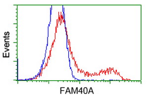 m09470 anti fam40a strip1 mouse monoclonal antibody clone id oti7b8 flow cytometry testing 9