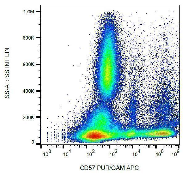 Flow cytometry analysis (surface staining) of human buffy coat cells with anti-human CD57 (TB01) purified, GAM-APC