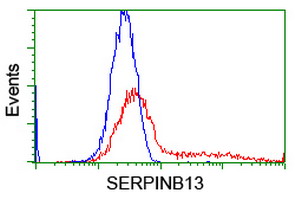 m09602 1 anti serpinb13 mouse monoclonal antibody clone id oti1a7 flow cytometry testing 3