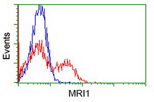 m09725 1 anti mri1 mouse monoclonal antibody clone id oti9h7 flow cytometry testing 6