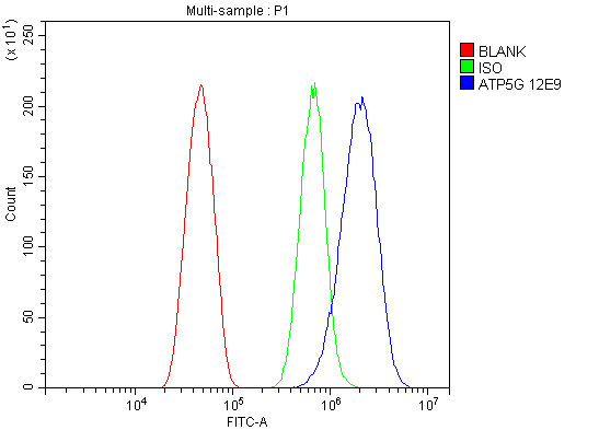 m09735 atp5f1_2_3 primary antibodies fcm testing 2