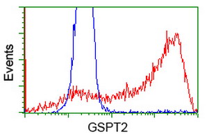 m09757 anti gspt2 mouse monoclonal antibody clone id oti2g9 flow cytometry testing 3