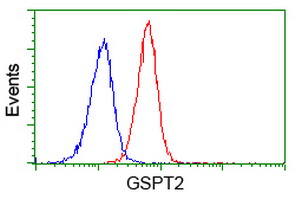 m09757 anti gspt2 mouse monoclonal antibody clone id oti2g9 flow cytometry testing 4