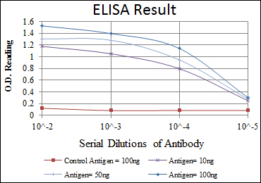 m09787 epha10 primary antibodies wb testing 1