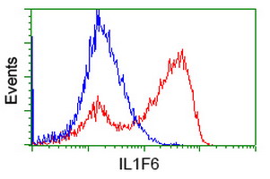 HEK293T cells transfected with either IL36A (Myc-DDK-tagged) overexpress plasmid (Red) or empty vector control plasmid (Blue) were immunostained by anti-IL1F6 antibody (M09802)