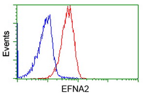 m09844 anti ephrin a2 efna2 mouse monoclonal antibody clone id oti3e3 flow cytometry testing 3