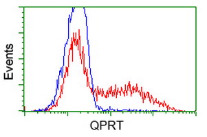 m09896 anti qprt mouse monoclonal antibody clone id oti1c10 flow cytometry testing 12