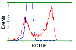 HEK293T cells transfected with either pCMV6-ENTRY KCTD5 (Red) or empty vector control plasmid (Blue) were immunostained with anti-KCTD5 mouse monoclonal (M09979)