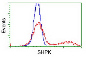 m09991 anti carkl shpk mouse monoclonal antibody clone id oti4e9 flow cytometry testing 2