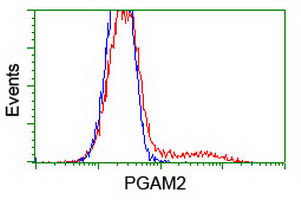 m10014 anti pgam2 mouse monoclonal antibody clone id oti4e9 flow cytometry testing 4