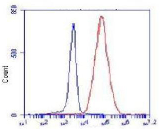 m10078 cox4i2 primary antibodies fcm testing 1