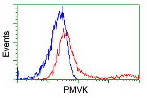 m10103 anti pmvk mouse monoclonal antibody clone id oti2f9 flow cytometry testing 2