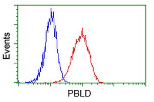 Flow cytometric Analysis of Hela cells