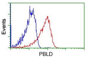 Flow cytometric Analysis of Jurkat cells