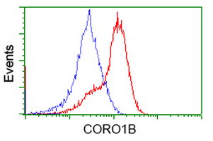 m10210 anti coro1b mouse monoclonal antibody clone id oti3d10 flow cytometry testing 4