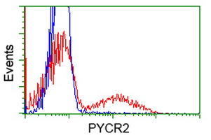 m10327 1 anti pycr2 mouse monoclonal antibody clone id oti3d1 flow cytometry testing 4