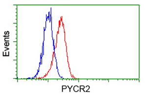 m10327 anti pycr2 mouse monoclonal antibody clone id oti4a10 flow cytometry testing 4