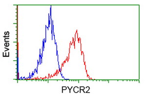 m10327 anti pycr2 mouse monoclonal antibody clone id oti4a10 flow cytometry testing 5