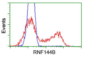 m10490 anti ibrdc2 rnf144b mouse monoclonal antibody clone id oti9h10 flow cytometry testing 7