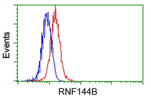 m10490 anti ibrdc2 rnf144b mouse monoclonal antibody clone id oti9h10 flow cytometry testing 8