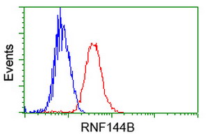 m10490 anti ibrdc2 rnf144b mouse monoclonal antibody clone id oti9h10 flow cytometry testing 9
