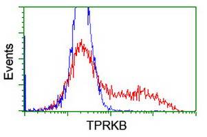 m10528 anti tprkb mouse monoclonal antibody clone id oti3h3 flow cytometry testing 15