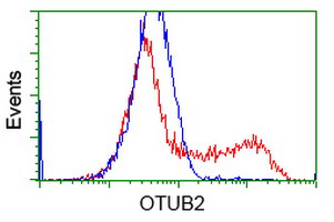 HEK293T cells transfected with either OTUB2 (Myc-DDK-tagged) overexpress plasmid (Red) or empty vector control plasmid (Blue) were immunostained by anti-OTUB2 antibody (M10542-1)