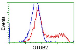 HEK293T cells transfected with either OTUB2 (Myc-DDK-tagged) overexpress plasmid (Red) or empty vector control plasmid (Blue) were immunostained by anti-OTUB2 antibody (M10542)