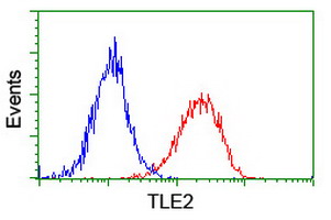 m10582 anti tle2 mouse monoclonal antibody clone id oti5a6 flow cytometry testing 10