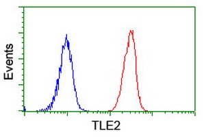 m10582 anti tle2 mouse monoclonal antibody clone id oti5a6 flow cytometry testing 11