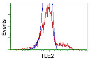m10582 anti tle2 mouse monoclonal antibody clone id oti5a6 flow cytometry testing 9