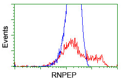 m10683 anti rnpep mouse monoclonal antibody clone id oti3b5 flow cytometry testing 12