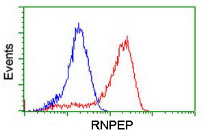 m10683 anti rnpep mouse monoclonal antibody clone id oti3b5 flow cytometry testing 13