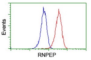 m10683 anti rnpep mouse monoclonal antibody clone id oti3b5 flow cytometry testing 14