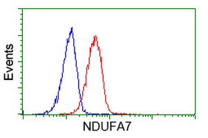 m10817 1 anti ndufa7 mouse monoclonal antibody clone id oti2g4 flow cytometry testing 4