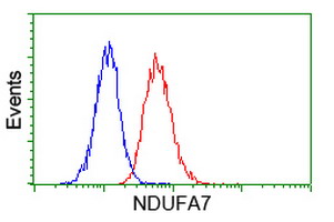 m10817 1 anti ndufa7 mouse monoclonal antibody clone id oti2g4 flow cytometry testing 5