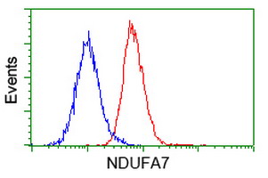 m10817 2 anti ndufa7 mouse monoclonal antibody clone id oti2c3 flow cytometry testing 3
