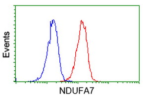 m10817 2 anti ndufa7 mouse monoclonal antibody clone id oti2c3 flow cytometry testing 4