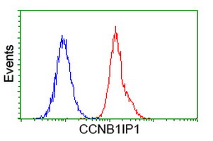 m10821 anti ccnb1ip1 mouse monoclonal antibody clone id oti4h3 flow cytometry testing 7